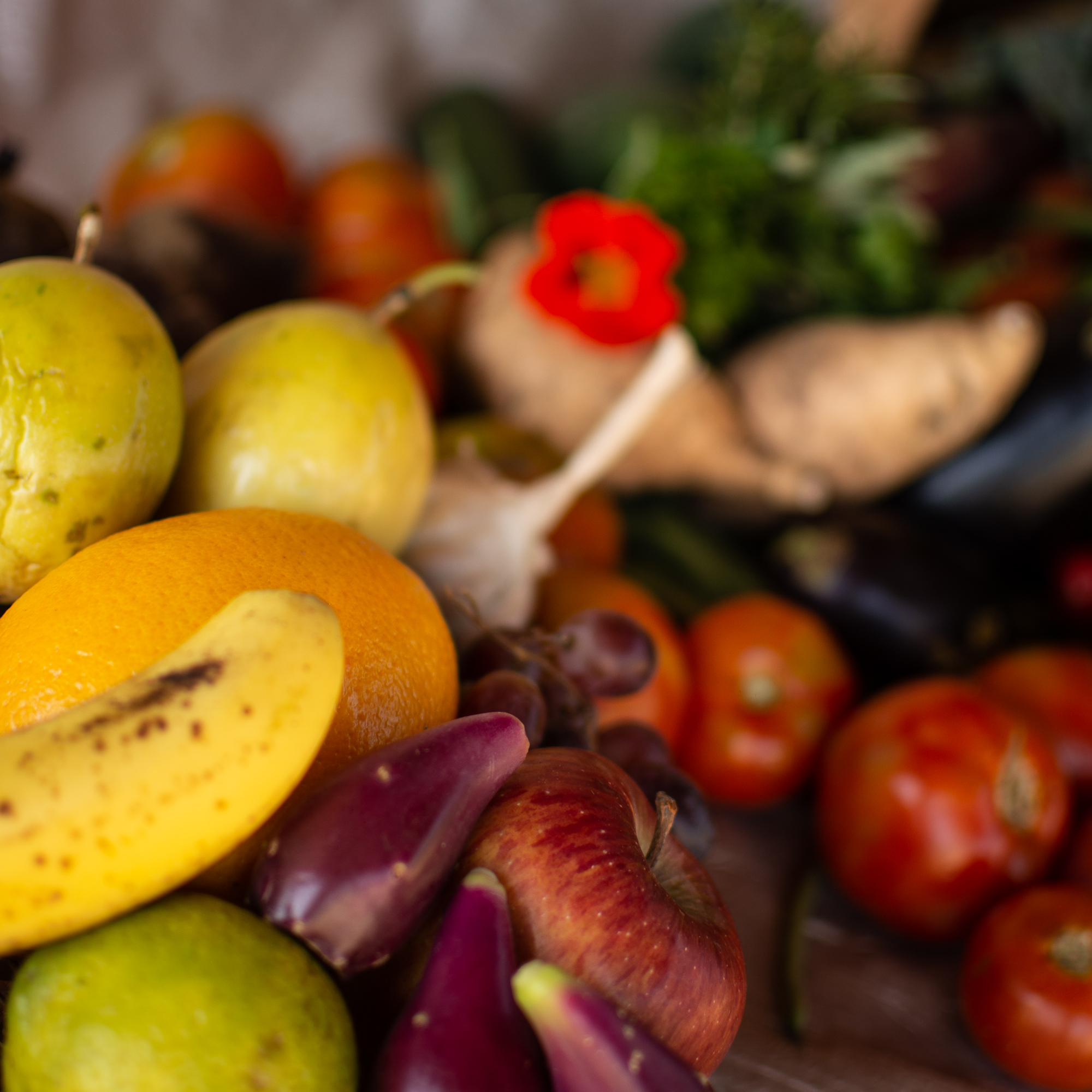 Seasonal Veggie Basket, Basic with Fruit Mix Ecolodgy Permaculture Centre
